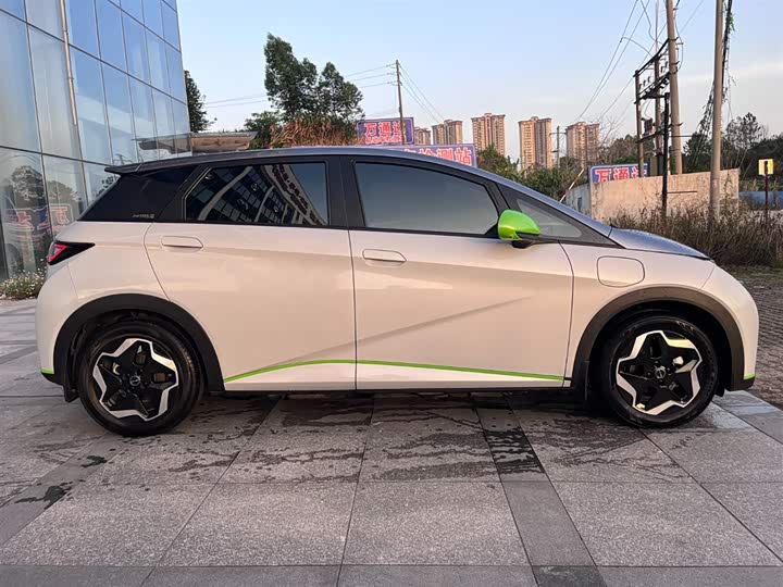 Фото 5 - BYD Dolphin