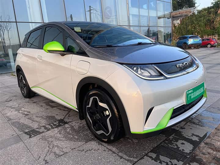 Фото 6 - BYD Dolphin