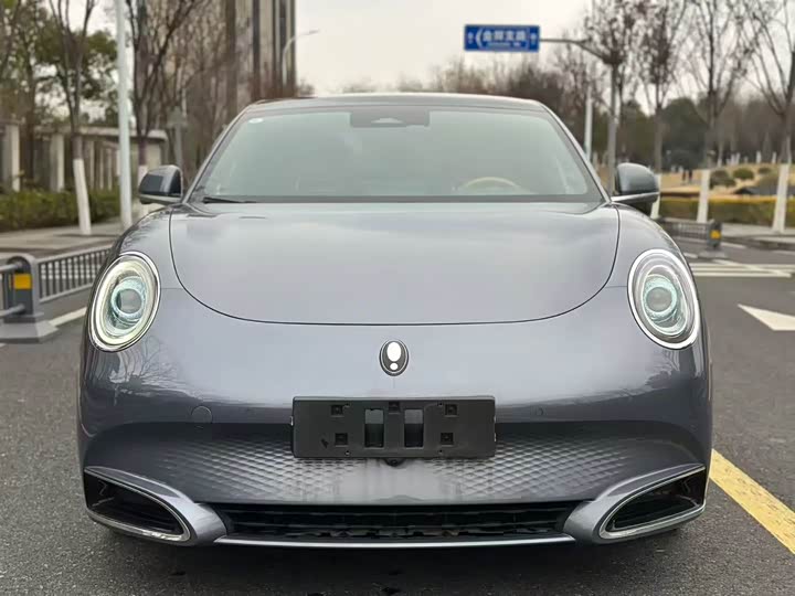 Photo 2 - Ora Lightning Cat (07)