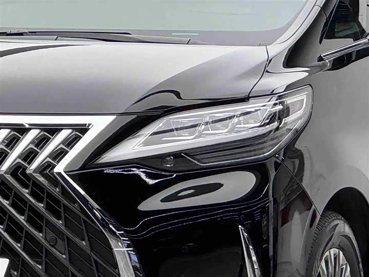 Фото 3 - Lexus LM