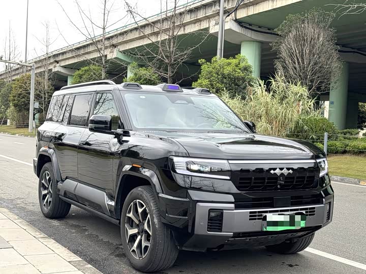 Фото 3 - BYD FangChengBao Leopard 8