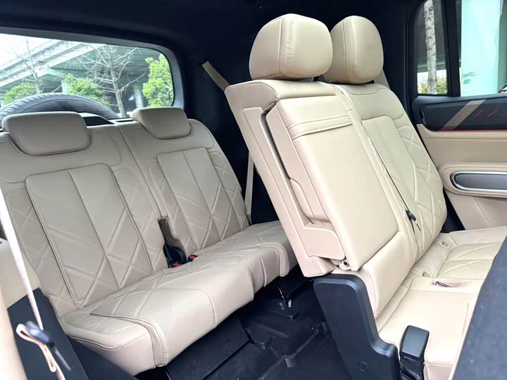 Фото 8 - BYD FangChengBao Leopard 8