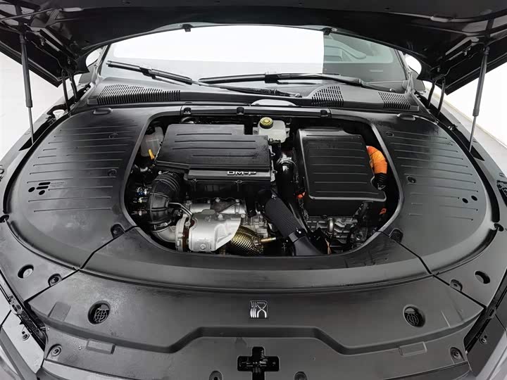 Фото 6 - BYD Han