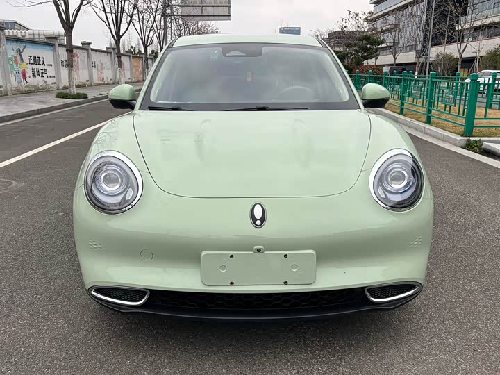 Photo 2 - Ora Good Cat (03)