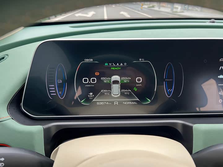 Photo 4 - Ora Good Cat (03)