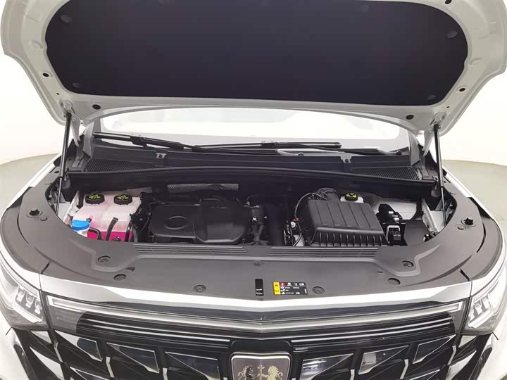 Photo 6 - Roewe iMax 8 EV