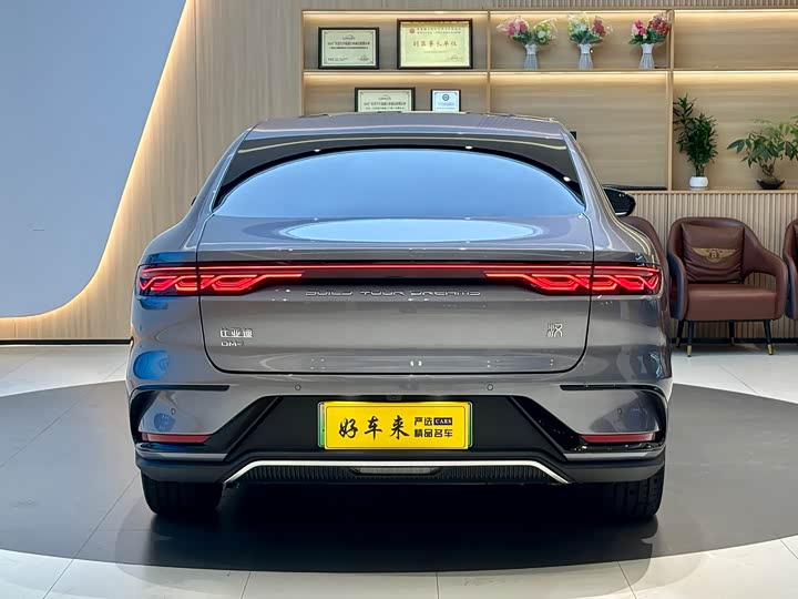 Фото 5 - BYD Han