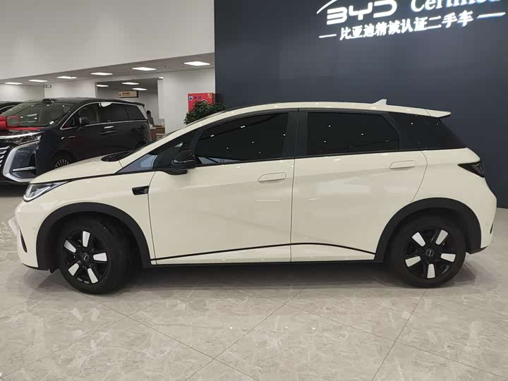 Фото 3 - BYD Dolphin