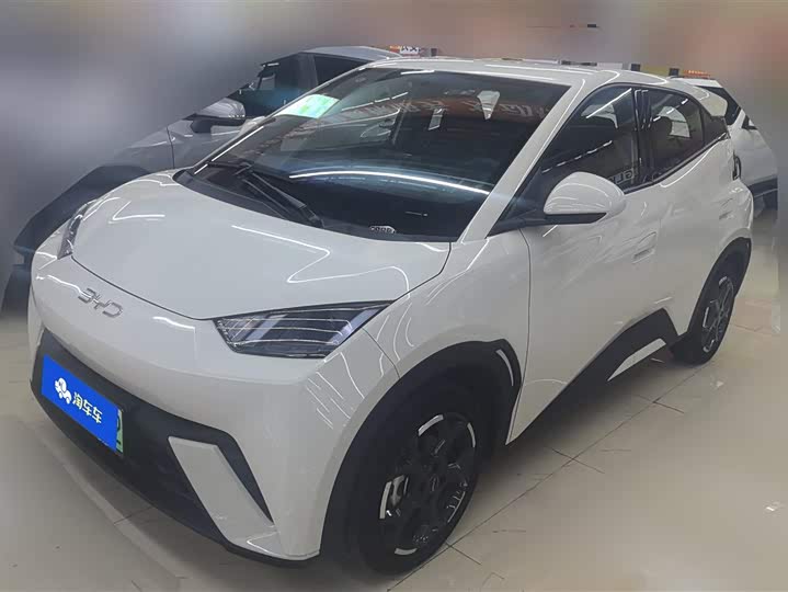 Фото 1 - BYD Seagull