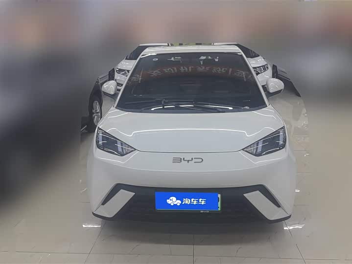 Фото 2 - BYD Seagull