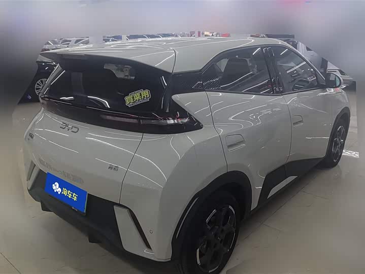 Фото 3 - BYD Seagull