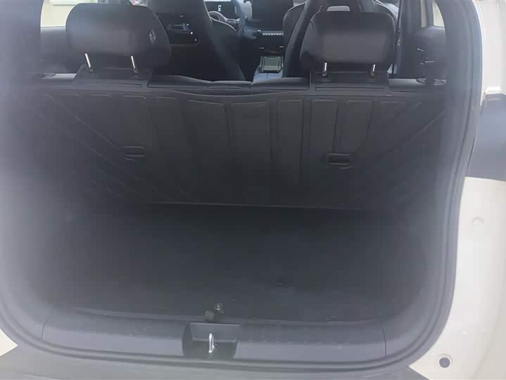 Фото 4 - BYD Seagull