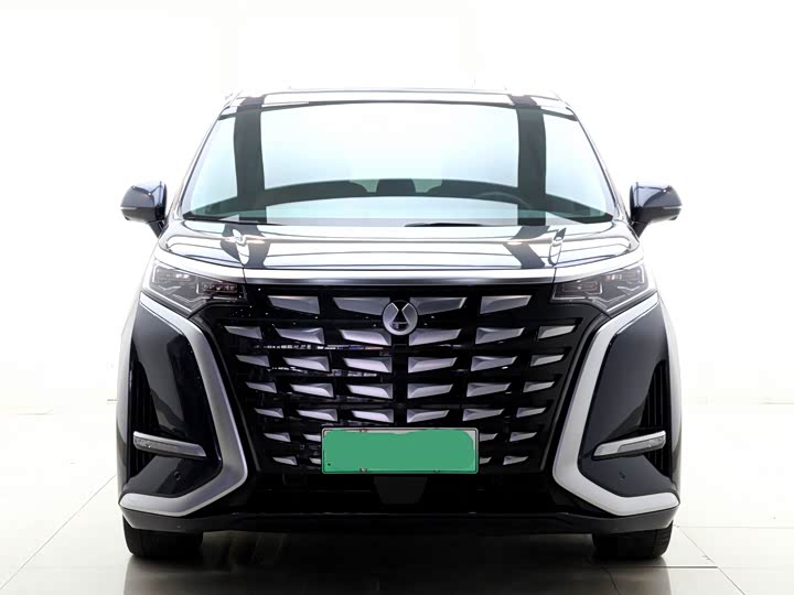 Фото 2 - Denza D9