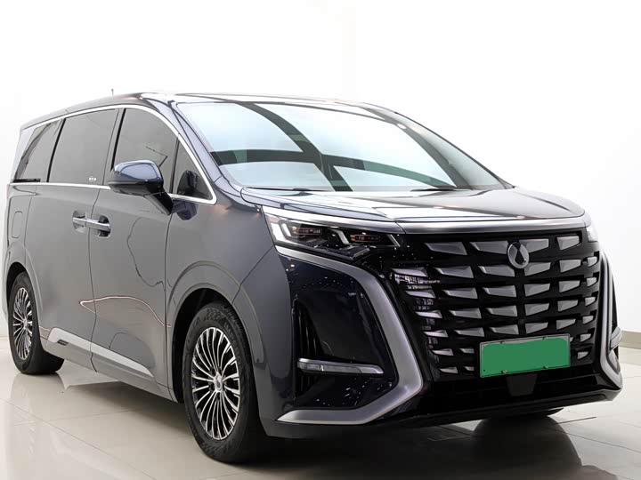 Фото 3 - Denza D9