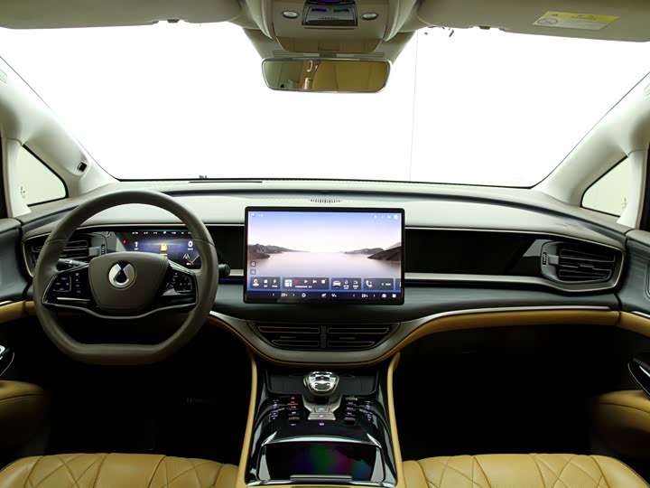 Фото 5 - Denza D9