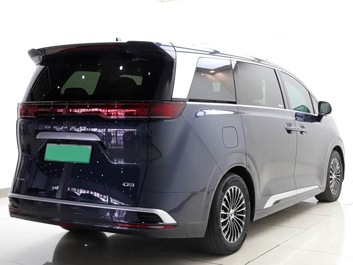 Фото 8 - Denza D9