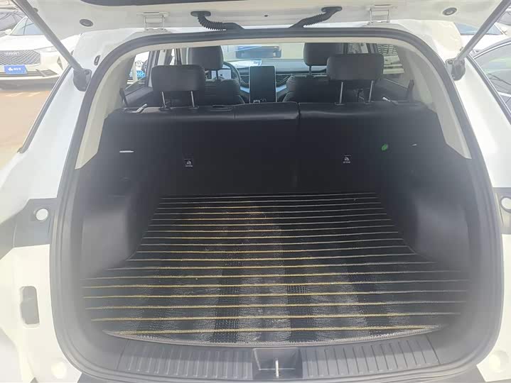 Фото 4 - Bestune T90