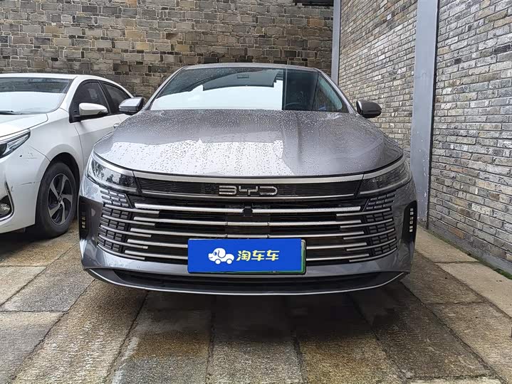 Photo 2 - BYD Destroyer 05