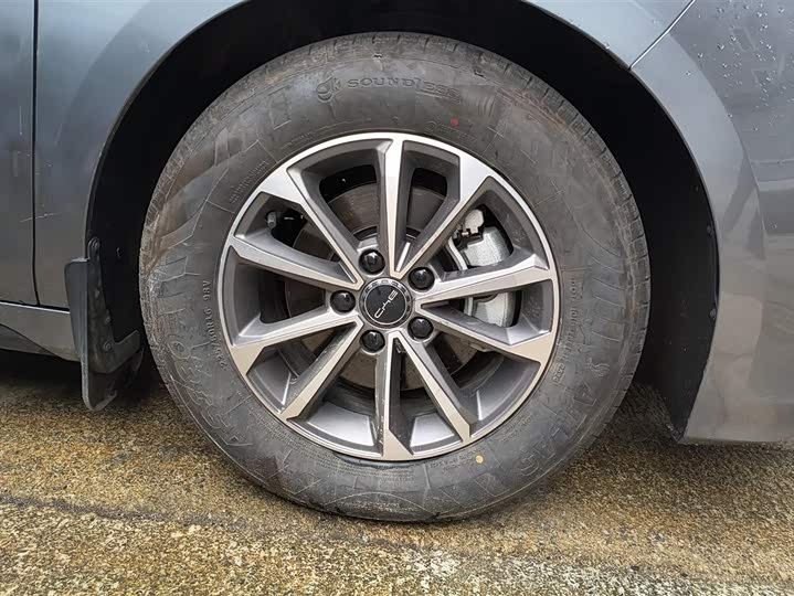 Photo 6 - BYD Destroyer 05