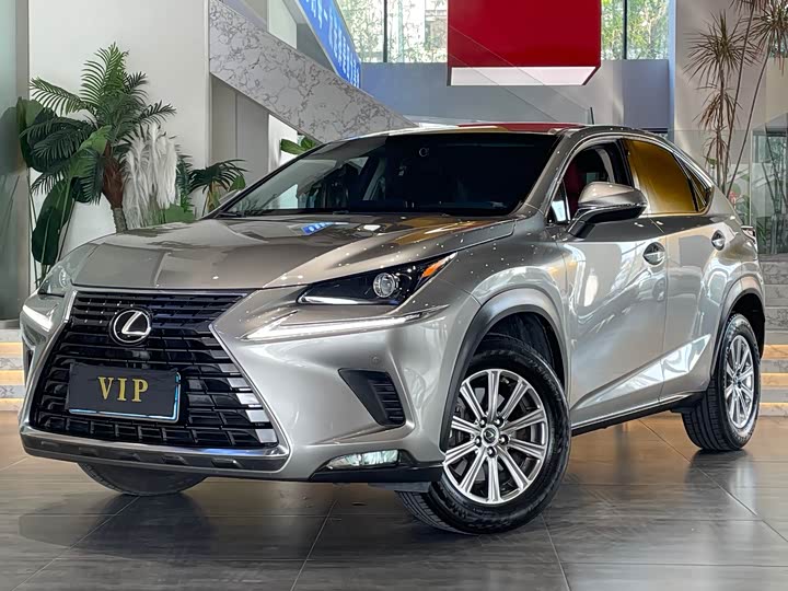 Фото 1 - Lexus NX
