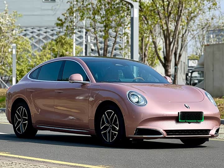 Photo 3 - Ora Lightning Cat (07)