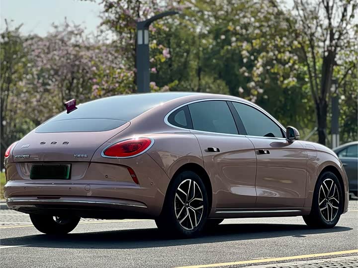 Photo 5 - Ora Lightning Cat (07)