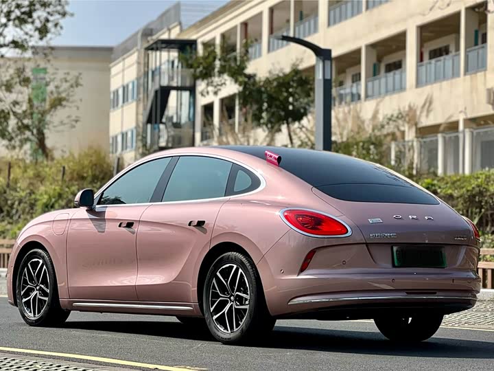 Photo 6 - Ora Lightning Cat (07)