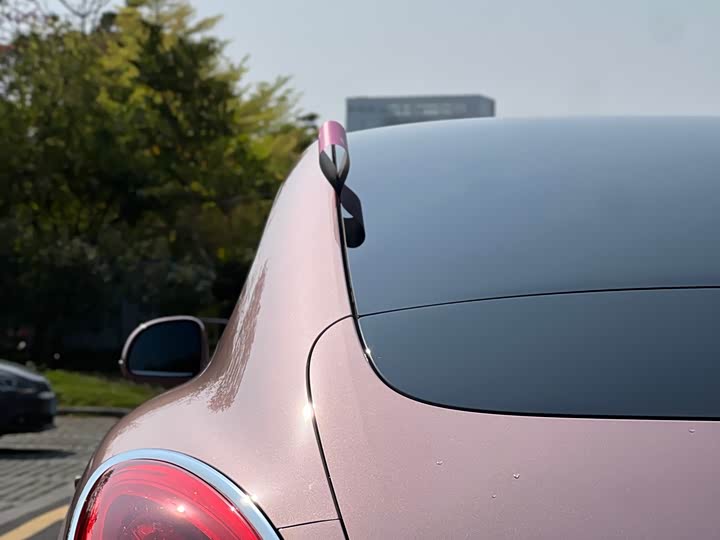 Photo 7 - Ora Lightning Cat (07)