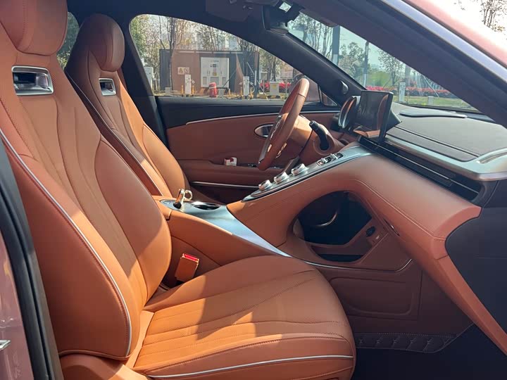 Photo 8 - Ora Lightning Cat (07)