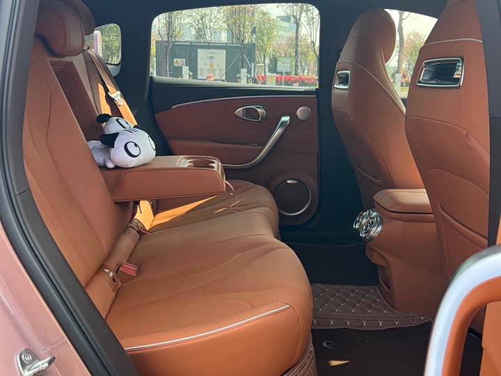 Photo 9 - Ora Lightning Cat (07)