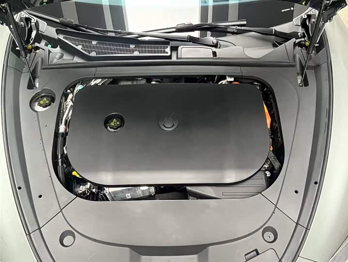 Фото 7 - Denza Z9GT