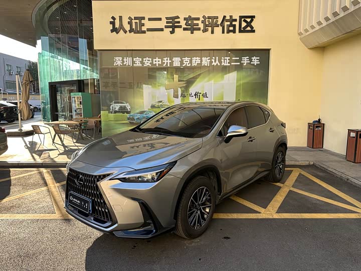 Фото 1 - Lexus NX