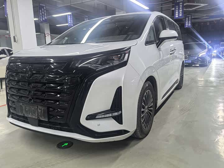 Фото 2 - Denza D9