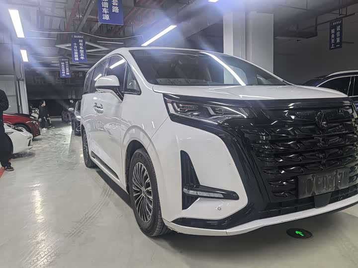 Фото 3 - Denza D9