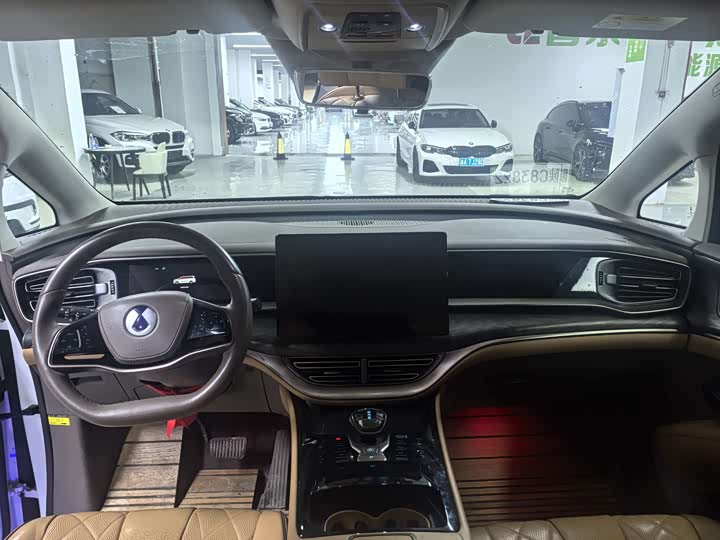 Фото 8 - Denza D9