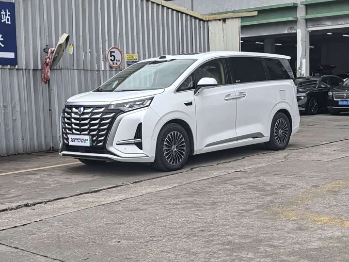 Фото 1 - Denza D9