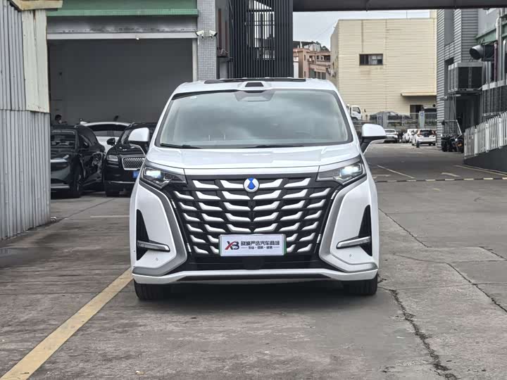 Фото 2 - Denza D9