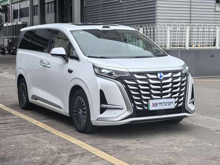 Фото 3 - Denza D9