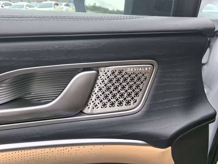 Фото 8 - Denza D9