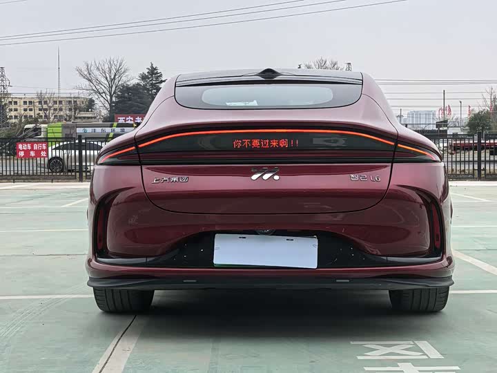 Photo 5 - IM motors L6