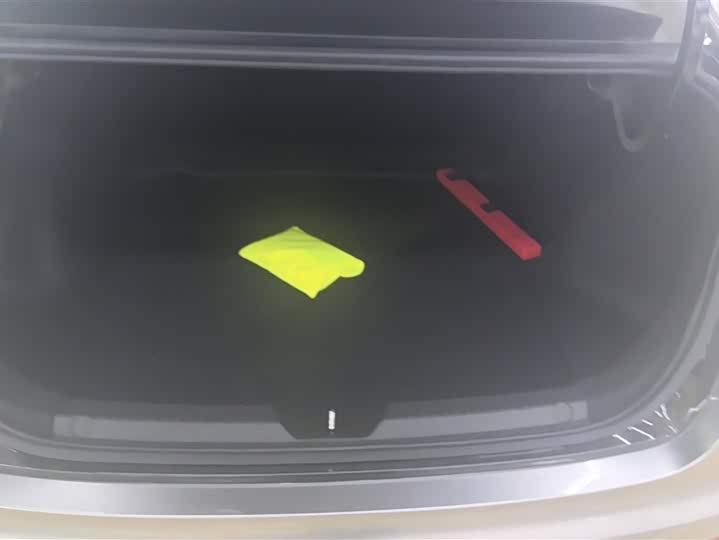 Фото 4 - GAC Trumpchi Empow R