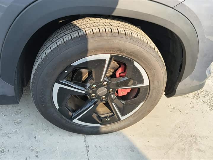 Фото 6 - Jetour Dashing