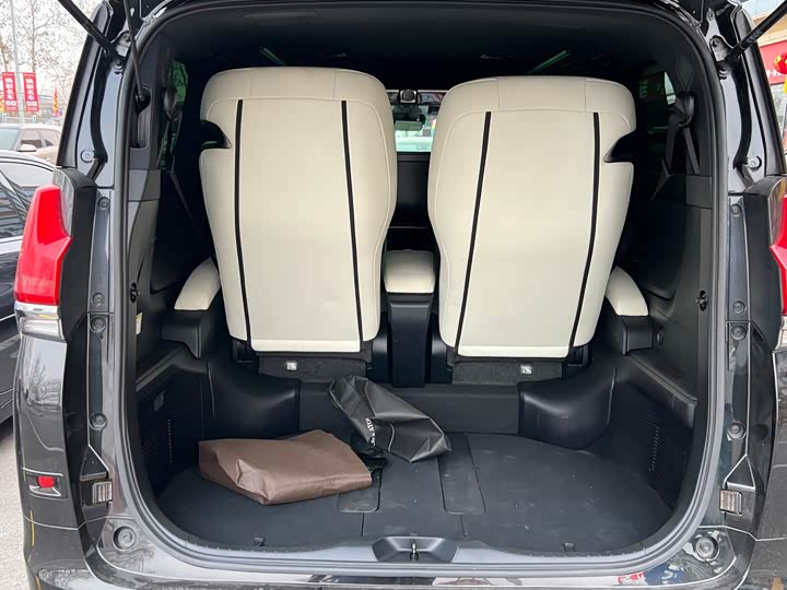 Фото 7 - Lexus LM