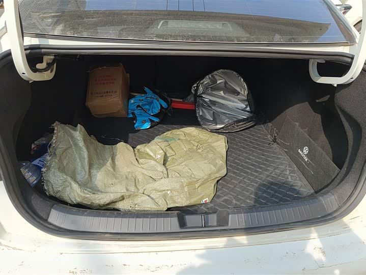 Фото 4 - Volkswagen Sagitar L