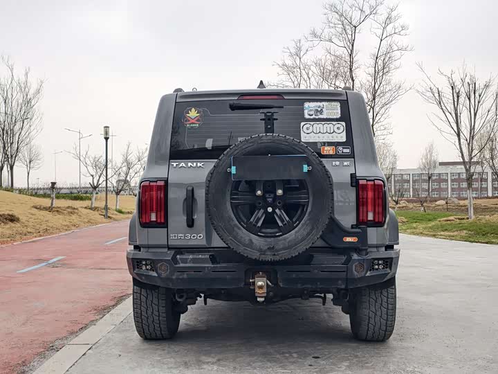 Фото 4 - Tank 300