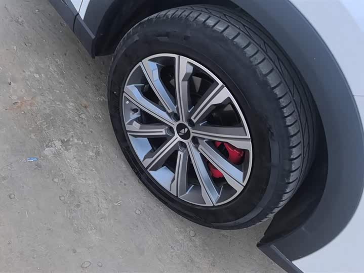 Photo 6 - Chery Fulwin T9