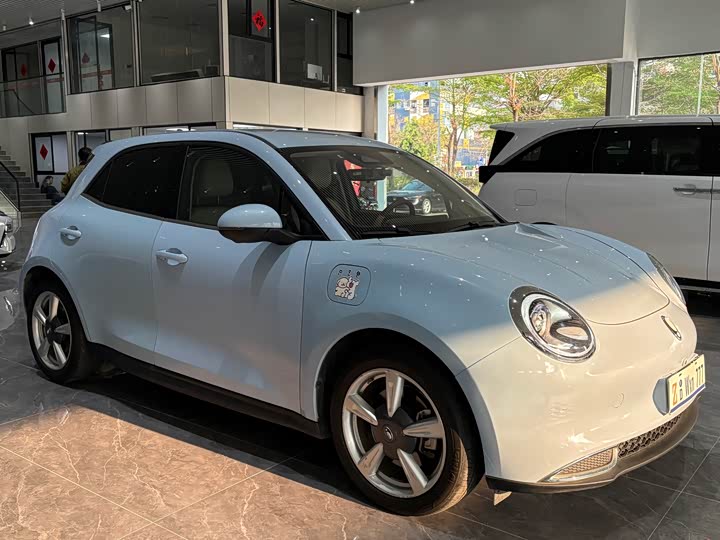 Photo 4 - Ora Good Cat (03)