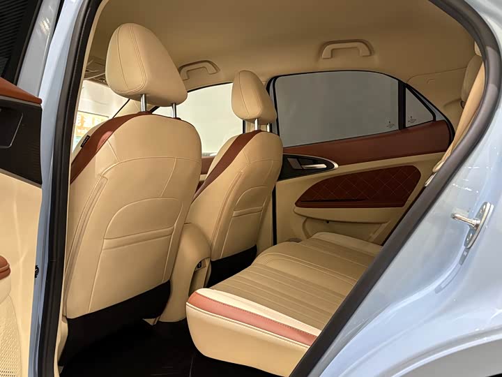 Photo 6 - Ora Good Cat (03)