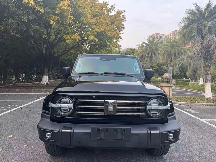 Фото 2 - Tank 300