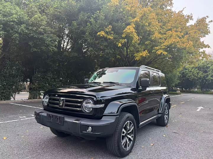 Фото 3 - Tank 300